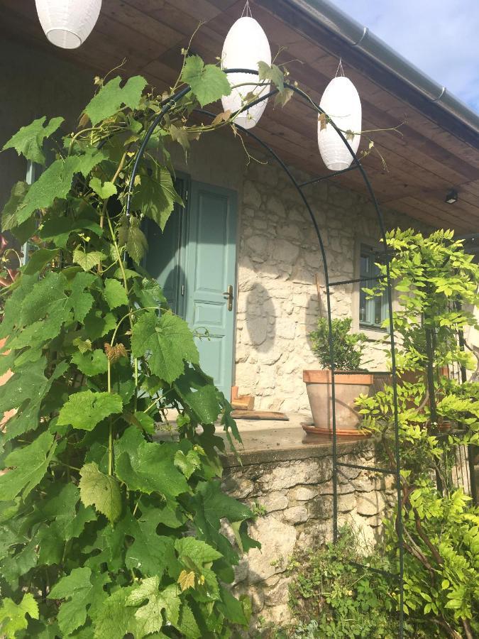 فندق Hungry Grape Guests Erdőbénye المظهر الخارجي الصورة